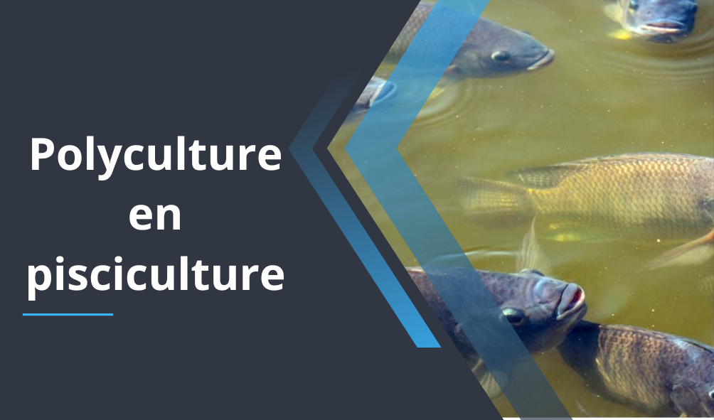 Devenez Pisciculteur